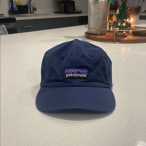 Patagonia Navy Blue Cap